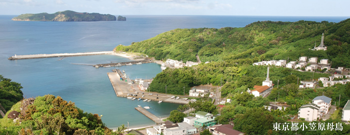 東京都小笠原母島